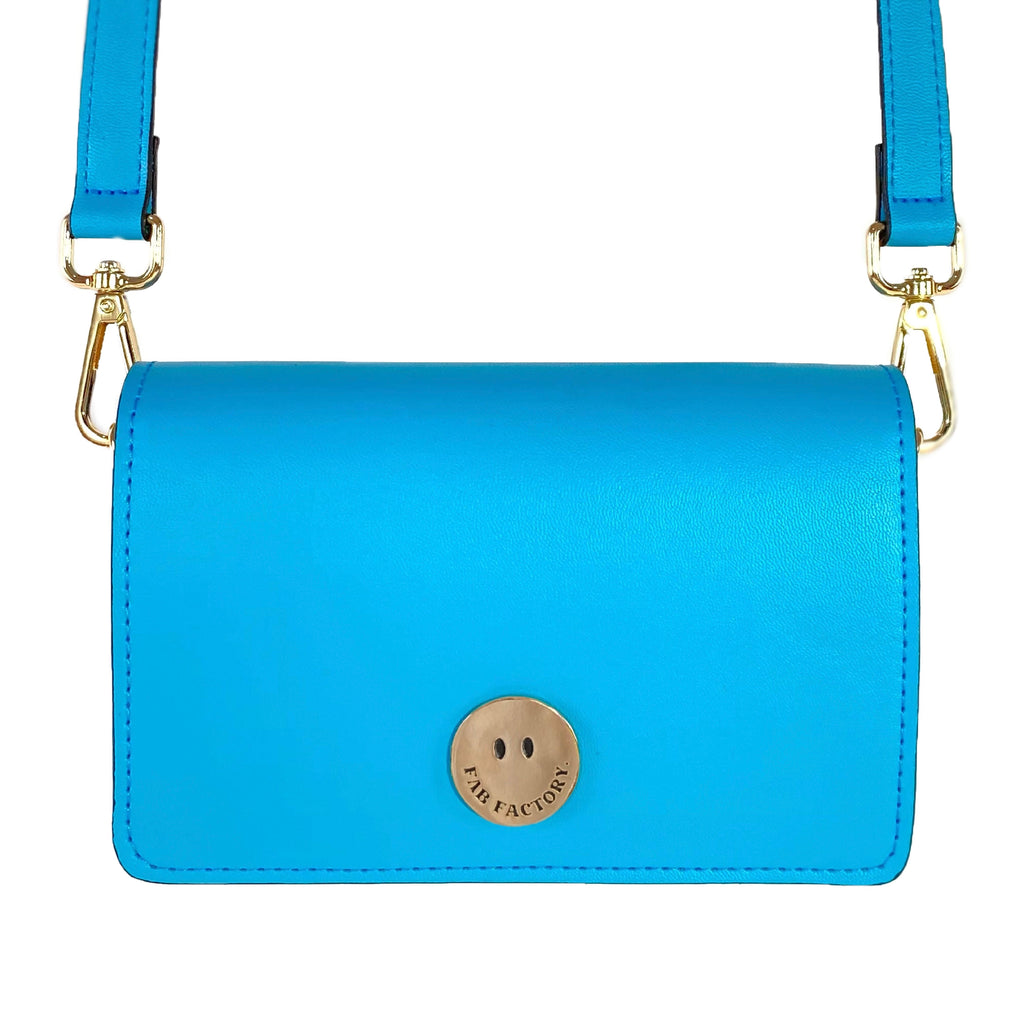 Mini Molly Aqua