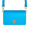 Mini Molly Aqua