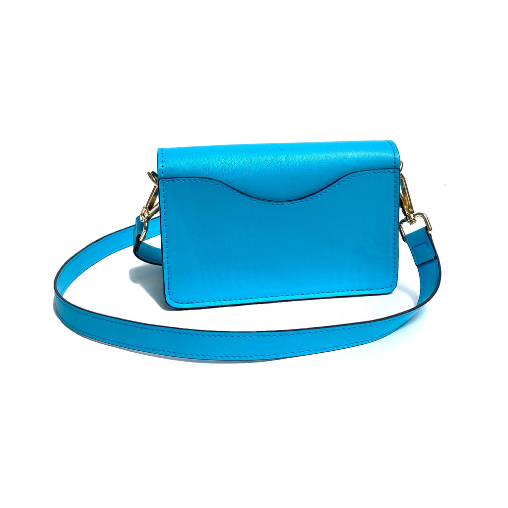Mini Molly Aqua